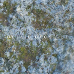 Alternative view of Winter Landscape